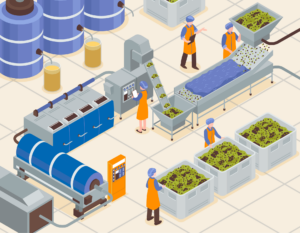 agroalimentaire Rectangle 89 (20)