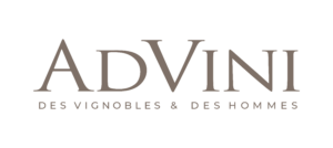 advini